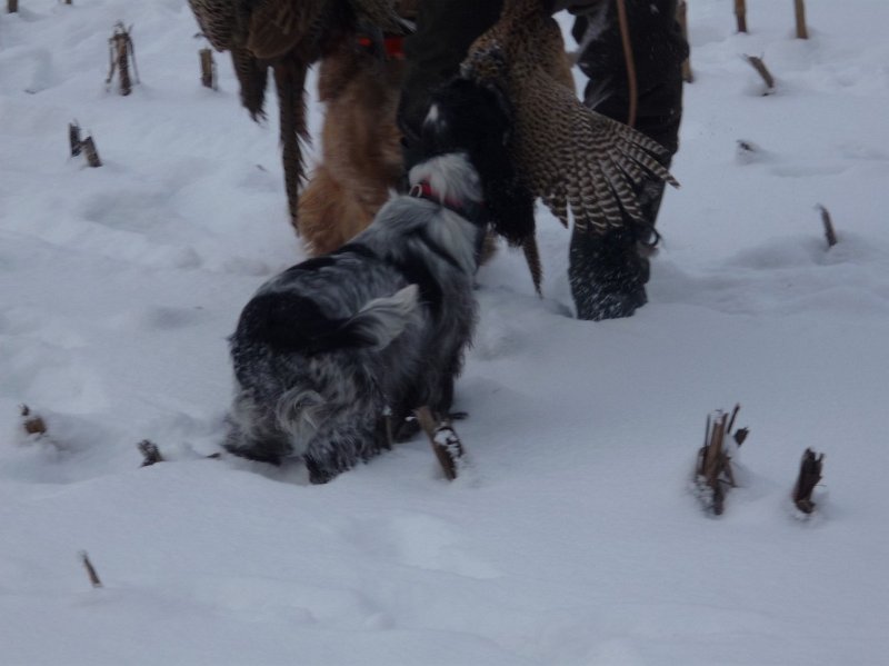 hon_konopiste (55).jpg